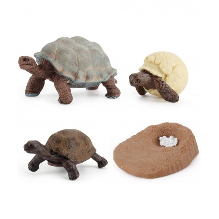 4 PCS Tortoise Wild Animal Model Figures Tortoise Life Cycle Figurines Party Favors Supplies Cake Toppers Decoration Collecti...