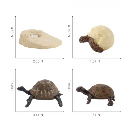 4 PCS Tortoise Wild Animal Model Figures Tortoise Life Cycle Figurines Party Favors Supplies Cake Toppers Decoration Collecti...