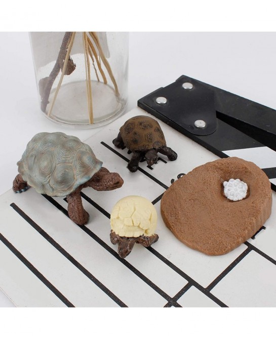 4 PCS Tortoise Wild Animal Model Figures Tortoise Life Cycle Figurines Party Favors Supplies Cake Toppers Decoration Collecti...