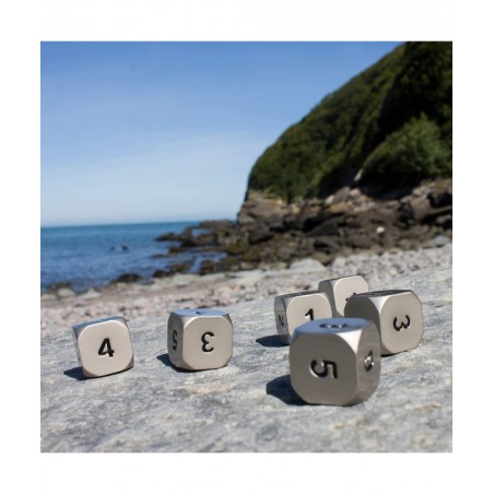 Solid Metal D6 Dice - Set of Six Silver Color $61.78 Game Accessories