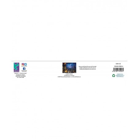 Thomas Kinkade - Disney Dreams Collection - Beauty and The Beast Dancing in The Moonlight - 1500 Piece Jigsaw Puzzle $27.80 J...