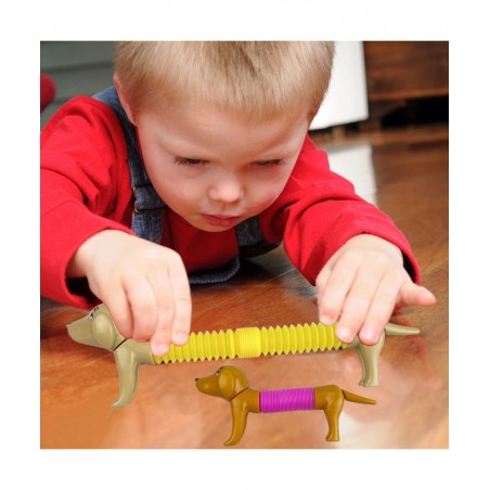 6 Pack Mini Dog Pop Tubes Sensory Toys for Kids Boys Girls Toddlers Christmas Stocking Stuffers Gifts $19.11 Fidget Toys