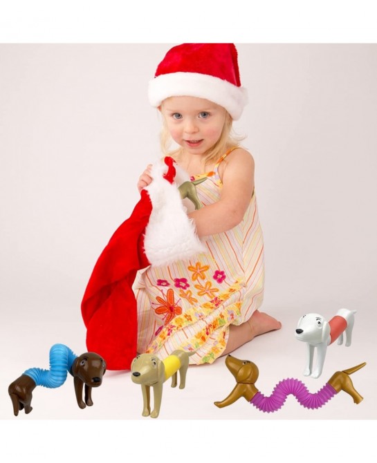 6 Pack Mini Dog Pop Tubes Sensory Toys for Kids Boys Girls Toddlers Christmas Stocking Stuffers Gifts $19.11 Fidget Toys
