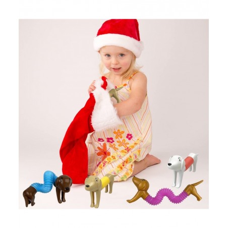 6 Pack Mini Dog Pop Tubes Sensory Toys for Kids Boys Girls Toddlers Christmas Stocking Stuffers Gifts $19.11 Fidget Toys