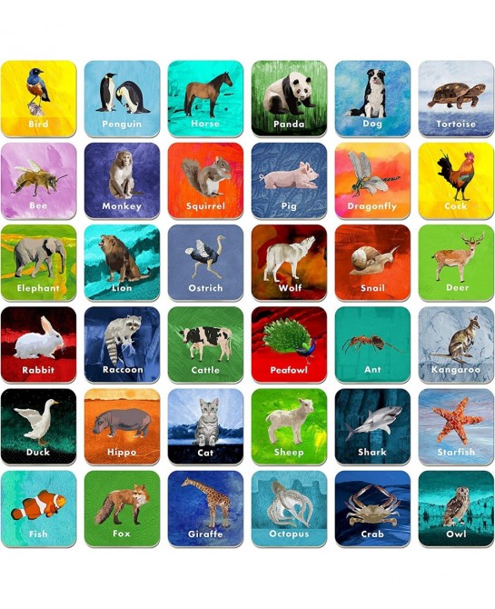 36 Pair Animal Matching Game Flash Cards Erasable (Each Measures 2” X 2”) $21.44 Educational Flash Cards