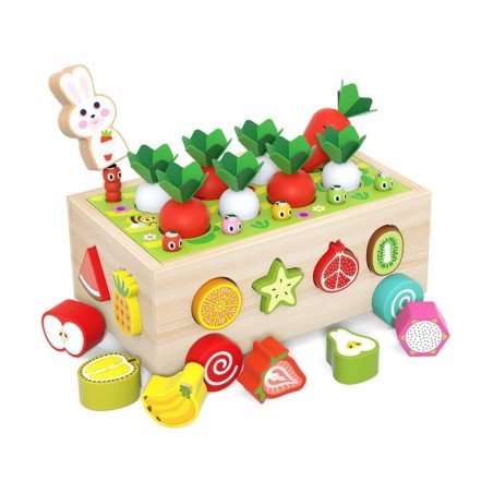 Wooden Montessori Toys for Toddlers Preschool Educational Learning Toys for Boys Girls Carrot Harvest Toys Set Shape Sorter T...
