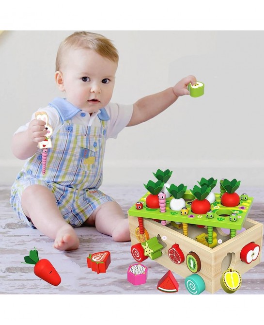 Wooden Montessori Toys for Toddlers Preschool Educational Learning Toys for Boys Girls Carrot Harvest Toys Set Shape Sorter T...
