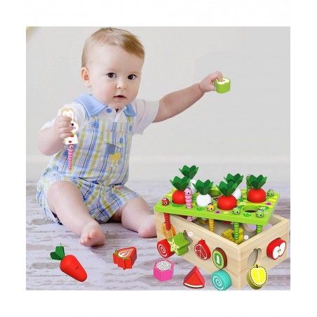 Wooden Montessori Toys for Toddlers Preschool Educational Learning Toys for Boys Girls Carrot Harvest Toys Set Shape Sorter T...