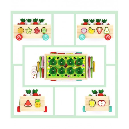 Wooden Montessori Toys for Toddlers Preschool Educational Learning Toys for Boys Girls Carrot Harvest Toys Set Shape Sorter T...