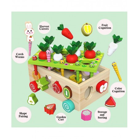 Wooden Montessori Toys for Toddlers Preschool Educational Learning Toys for Boys Girls Carrot Harvest Toys Set Shape Sorter T...