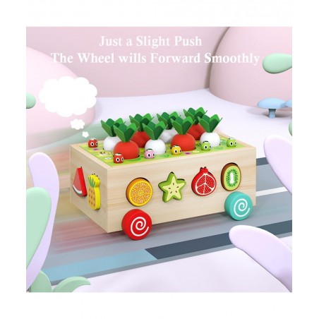 Wooden Montessori Toys for Toddlers Preschool Educational Learning Toys for Boys Girls Carrot Harvest Toys Set Shape Sorter T...