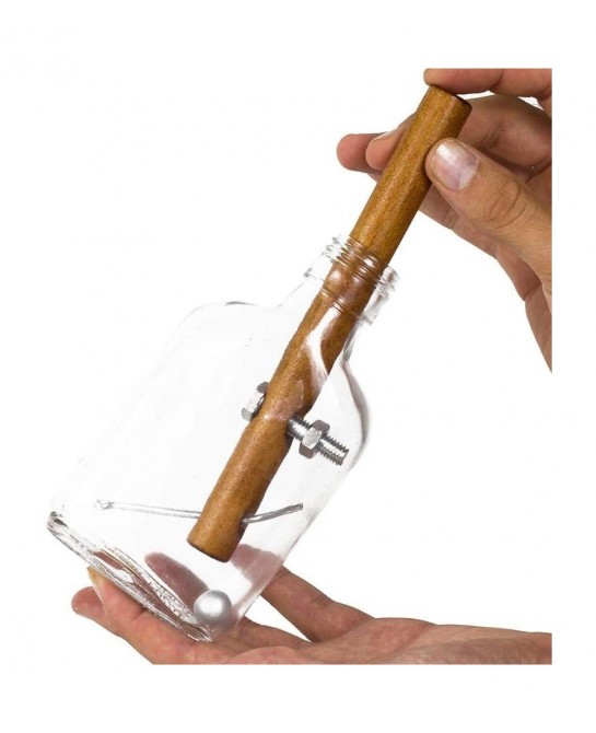 Glass Bottle Puzzle Adult Puzzles Assembly and Disentanglement Puzzles Gifts $29.06 Brain Teaser Puzzles