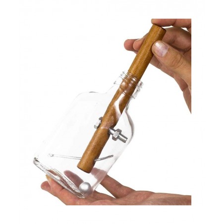 Glass Bottle Puzzle Adult Puzzles Assembly and Disentanglement Puzzles Gifts $29.06 Brain Teaser Puzzles