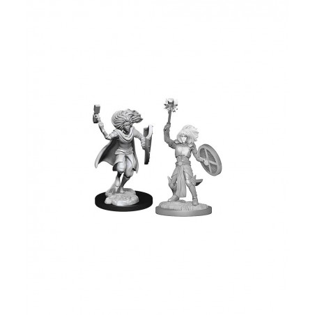 Nolzur's Marvelous Miniatures - Changeling Male Cleric WZK90237 $15.36 Miniature Novelty Toys