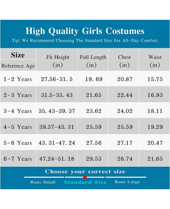 Toddler Girls Princess Dress Halloween Cosplay Dress Up Costume with Accessories $42.49 Kids' Costumes