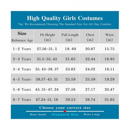 Toddler Girls Princess Dress Halloween Cosplay Dress Up Costume with Accessories $42.49 Kids' Costumes