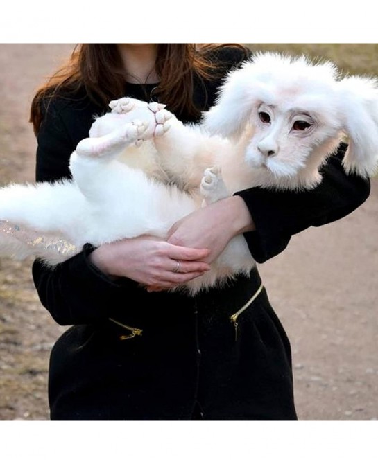 Falkor from The Neverending Story Falkor The Luck Dragon Plush Doll Toys Handmade Lovely Soft Stuffed Animal Toy Flying Dog L...