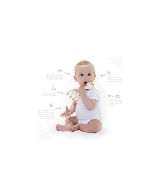 Sophie The Giraffe New Box Polka Dots One Size 1 Count (Pack of 1) $43.41 Baby Teether Toys
