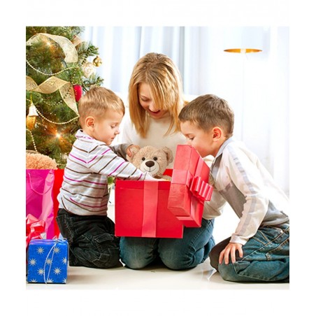 6Pack Plush Toys 14 Inches Teddy Bear Stuffed Animals Gifts for Baby Shower Birthday Xmas Valentines Day $64.76 Stuffed Anima...