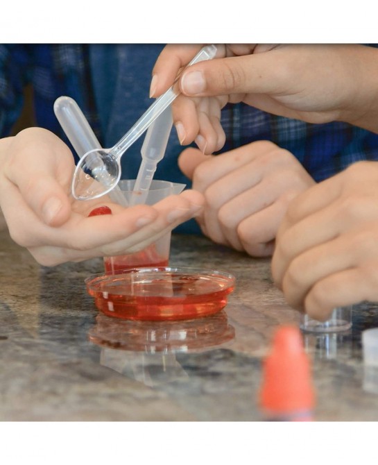 Science Academy Curious Kits (Crystal and Gross Body Labs) $81.30 Educational Science Kits