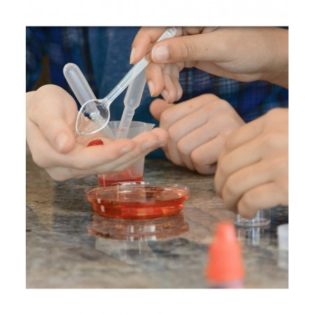 Science Academy Curious Kits (Crystal and Gross Body Labs) $81.30 Educational Science Kits