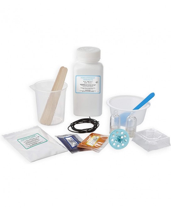 Science Academy Curious Kits (Crystal and Gross Body Labs) $81.30 Educational Science Kits