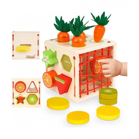Wooden Montessori Toys for Toddlers Wood Shape Sorting Toys for Age 2 3 4 Year Old Toddler Learning Toys Gift for Boys Girls ...