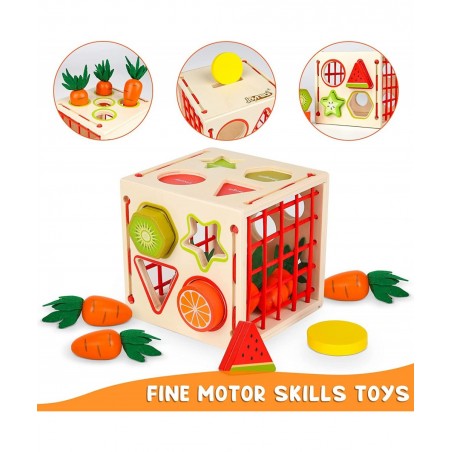 Wooden Montessori Toys for Toddlers Wood Shape Sorting Toys for Age 2 3 4 Year Old Toddler Learning Toys Gift for Boys Girls ...
