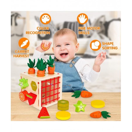 Wooden Montessori Toys for Toddlers Wood Shape Sorting Toys for Age 2 3 4 Year Old Toddler Learning Toys Gift for Boys Girls ...
