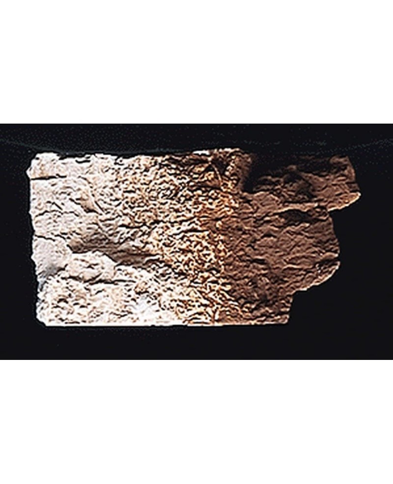 Earth Color Burnt Umber/4oz $18.43 Remote & App Controlled Vehicles