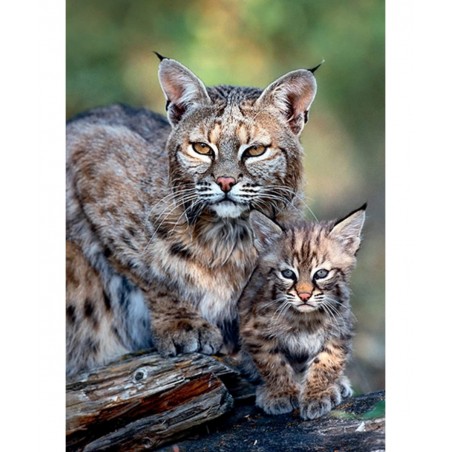 Bobcat USA - Nature Limited Edition Mothercare 1000 Pieces Jigsaw - Puzzle $39.99 Jigsaw Puzzles