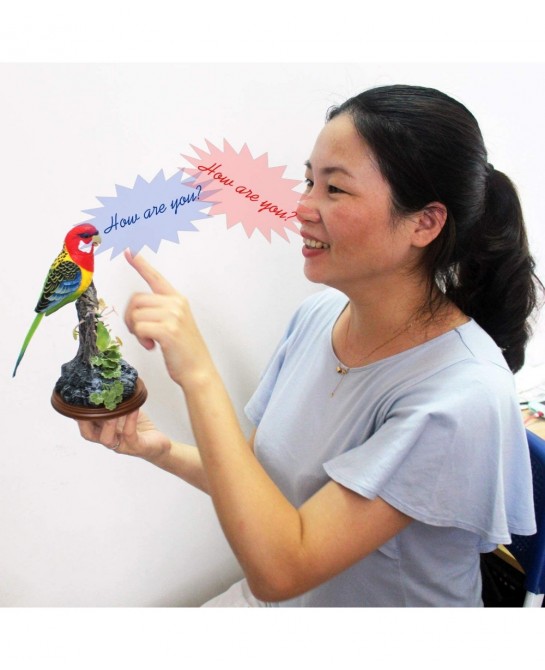 Eelctric Birds Talking Parrots Electronic Pets Office Home Decoration Recording & Playback Function Pen Holders Kids Toys (Si...
