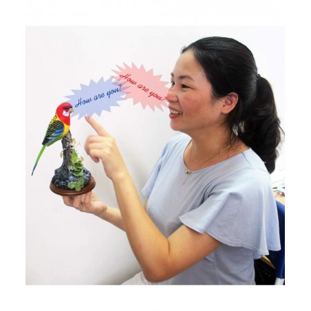 Eelctric Birds Talking Parrots Electronic Pets Office Home Decoration Recording & Playback Function Pen Holders Kids Toys (Si...