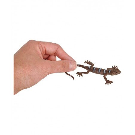 5.5" Plastic Lizards - (24) per Pack - Assorted Colors and Designs - Animal Theme Parties - Toy Lizards for Kids - Bath Time ...