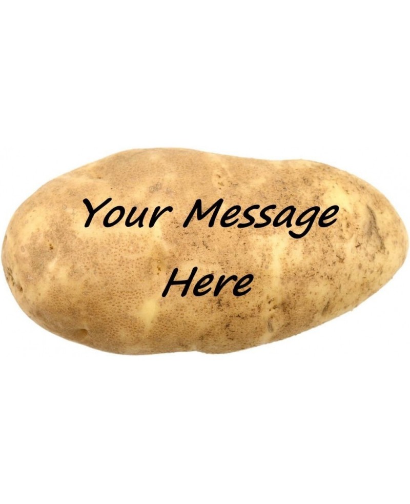 Mail a Message on a Real Potato Funny Gag Novelty Joke $17.12 Gags & Practical Joke Toys