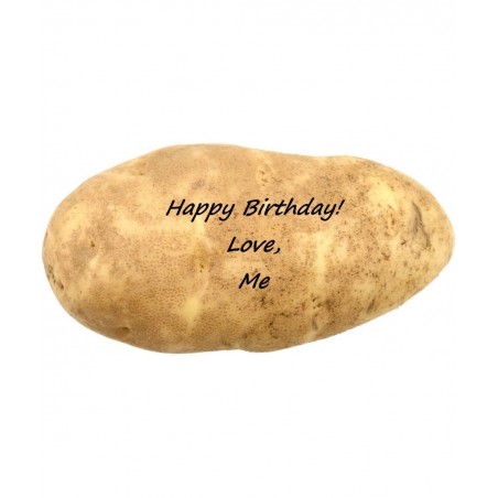 Mail a Message on a Real Potato Funny Gag Novelty Joke $17.12 Gags & Practical Joke Toys
