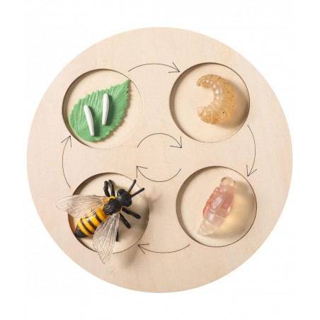 4PC Insect Figurines Life Cycle of Rooster Ant Bee Butterfly Ladybug with Wooden Board |Plastic Bugs for Safariology Animal F...