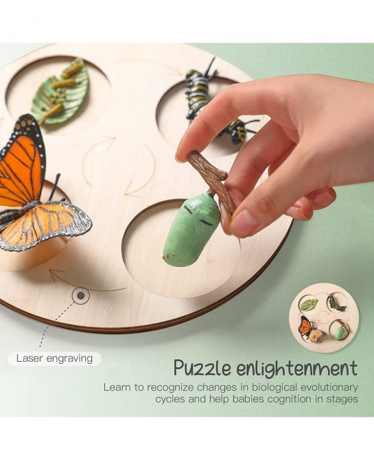 4PC Insect Figurines Life Cycle of Rooster Ant Bee Butterfly Ladybug with Wooden Board |Plastic Bugs for Safariology Animal F...
