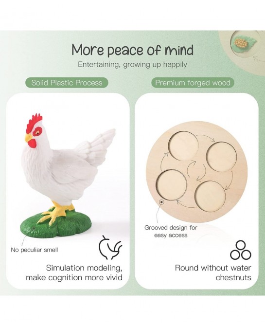 4PC Insect Figurines Life Cycle of Rooster Ant Bee Butterfly Ladybug with Wooden Board |Plastic Bugs for Safariology Animal F...