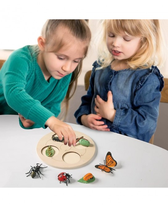 4PC Insect Figurines Life Cycle of Rooster Ant Bee Butterfly Ladybug with Wooden Board |Plastic Bugs for Safariology Animal F...