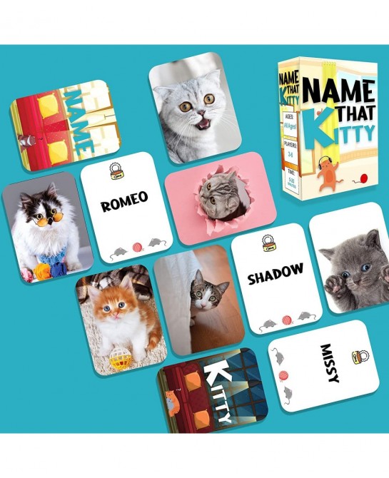 Name That Kitty - Family Friendly Cat Game for Kids with Silly Dressed Up and Adorable Cats! for Ages 5 & Up - Easy to Learn ...
