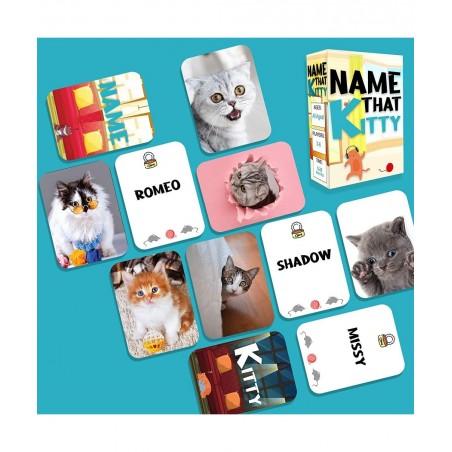 Name That Kitty - Family Friendly Cat Game for Kids with Silly Dressed Up and Adorable Cats! for Ages 5 & Up - Easy to Learn ...