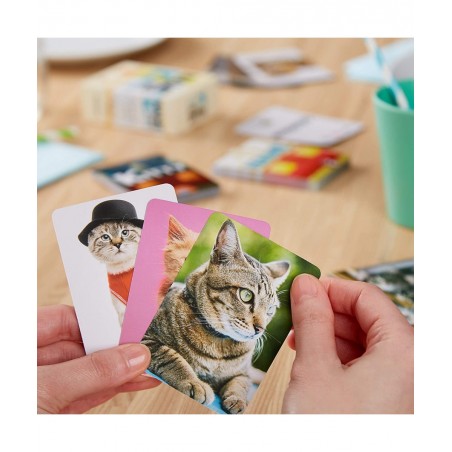 Name That Kitty - Family Friendly Cat Game for Kids with Silly Dressed Up and Adorable Cats! for Ages 5 & Up - Easy to Learn ...