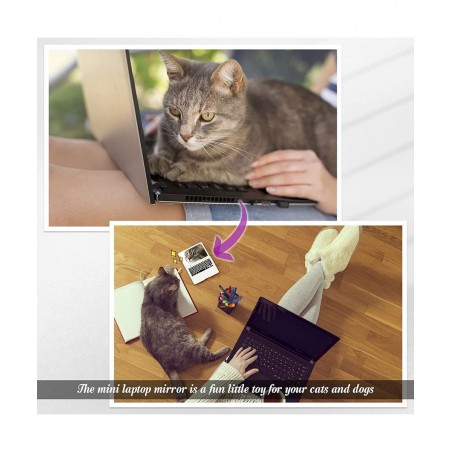 Mini Laptop Mirror for Cat Toy Laptop Cute Pocket Mirror Cat Laptop 3.7 x 2.5 Inch Folding Toy Cat Computer for Dollhouse Pet...