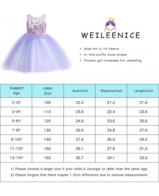Christmas Girls Flower Dress Lace Rainbow Tulle 3D Embroidery Beading Princess Pageant Wedding Party Dresses $58.42 Kids' Cos...