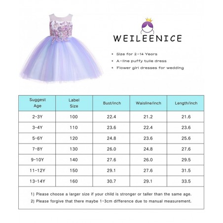 Christmas Girls Flower Dress Lace Rainbow Tulle 3D Embroidery Beading Princess Pageant Wedding Party Dresses $58.42 Kids' Cos...