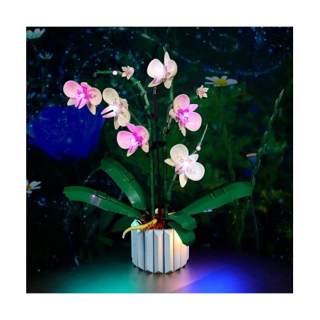 LED Light for Lego Orchid 10311 Plant Decor Building Blocks Model Design and Configuration Compatible with Model 10311(LED Li...