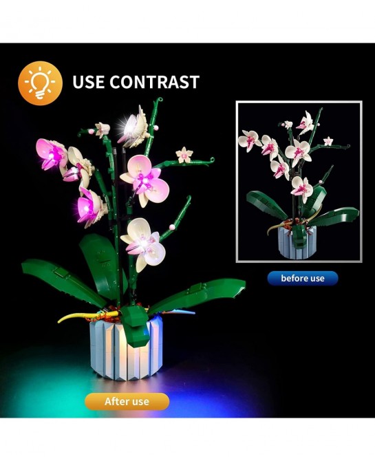 LED Light for Lego Orchid 10311 Plant Decor Building Blocks Model Design and Configuration Compatible with Model 10311(LED Li...