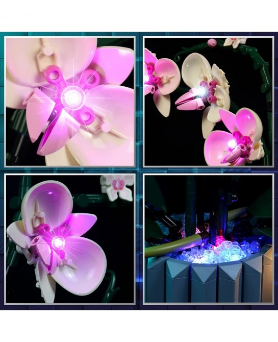 LED Light for Lego Orchid 10311 Plant Decor Building Blocks Model Design and Configuration Compatible with Model 10311(LED Li...