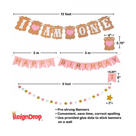 Baby Girl 1st Birthday Decorations Set – First Birthday Party Supplies - Happy Birthday 12 Month Photo I am One Banner - High...